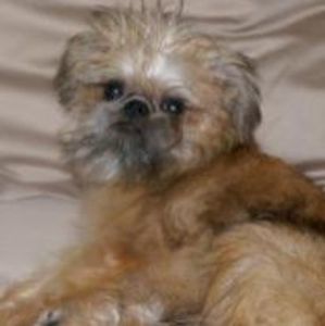 Meet your Posher, June